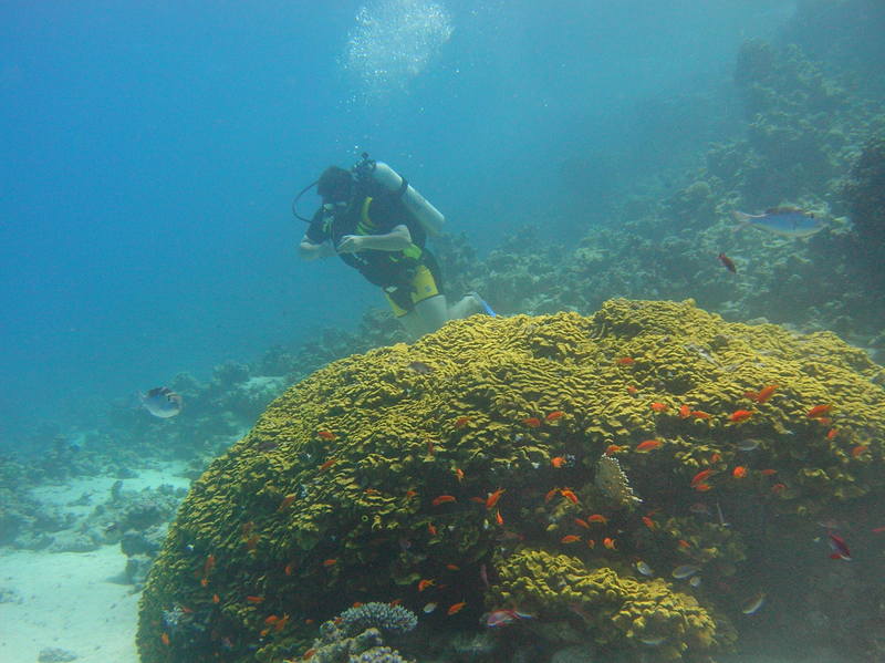 red sea_075.jpg